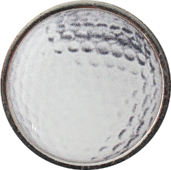 DSC04697-250CGT3tohQ3eNwI