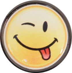 DSC03603-Sschwarz-250