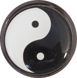 DSC03600-YYschwarz-250